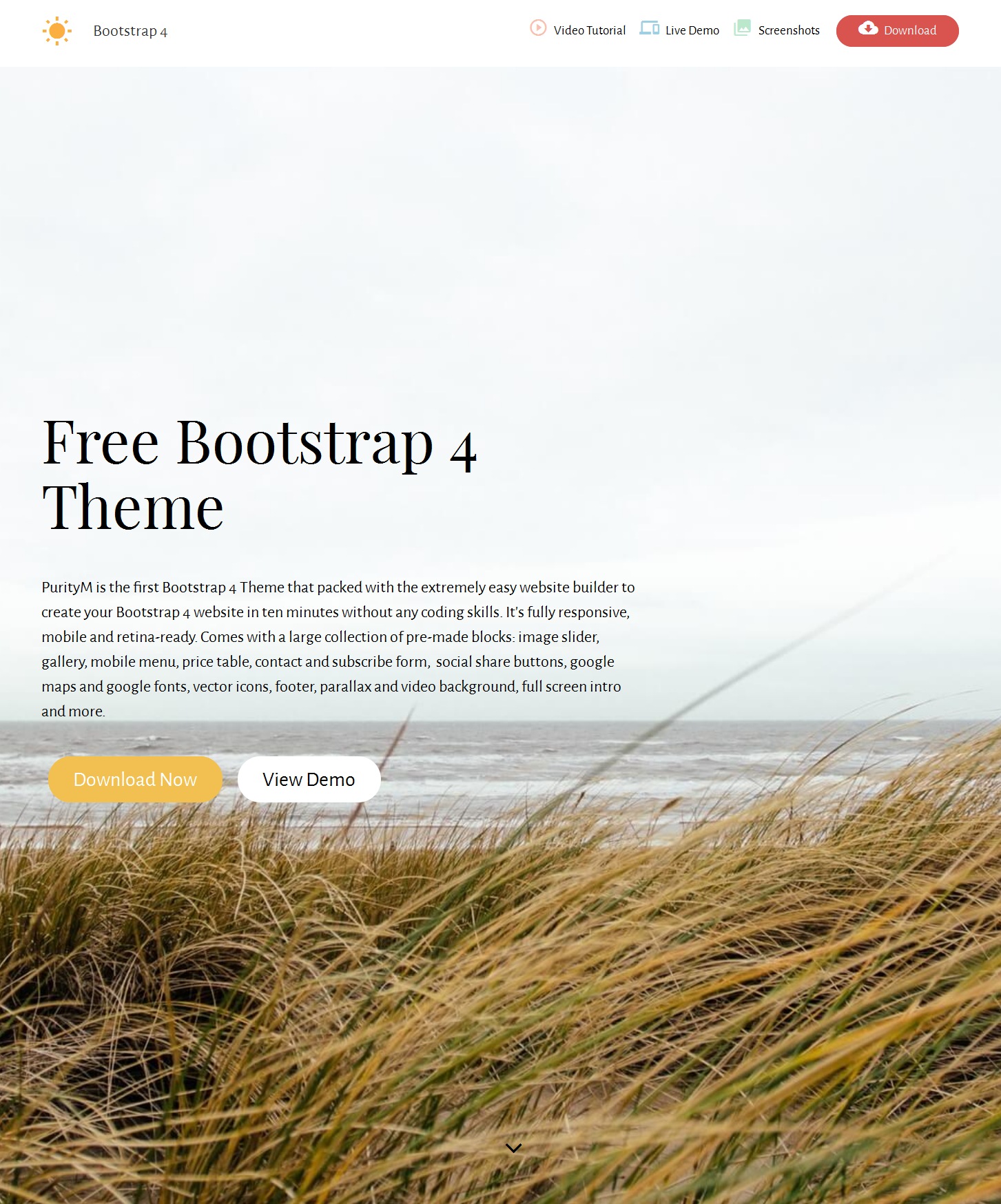 HTML Bootstrap Resume Theme