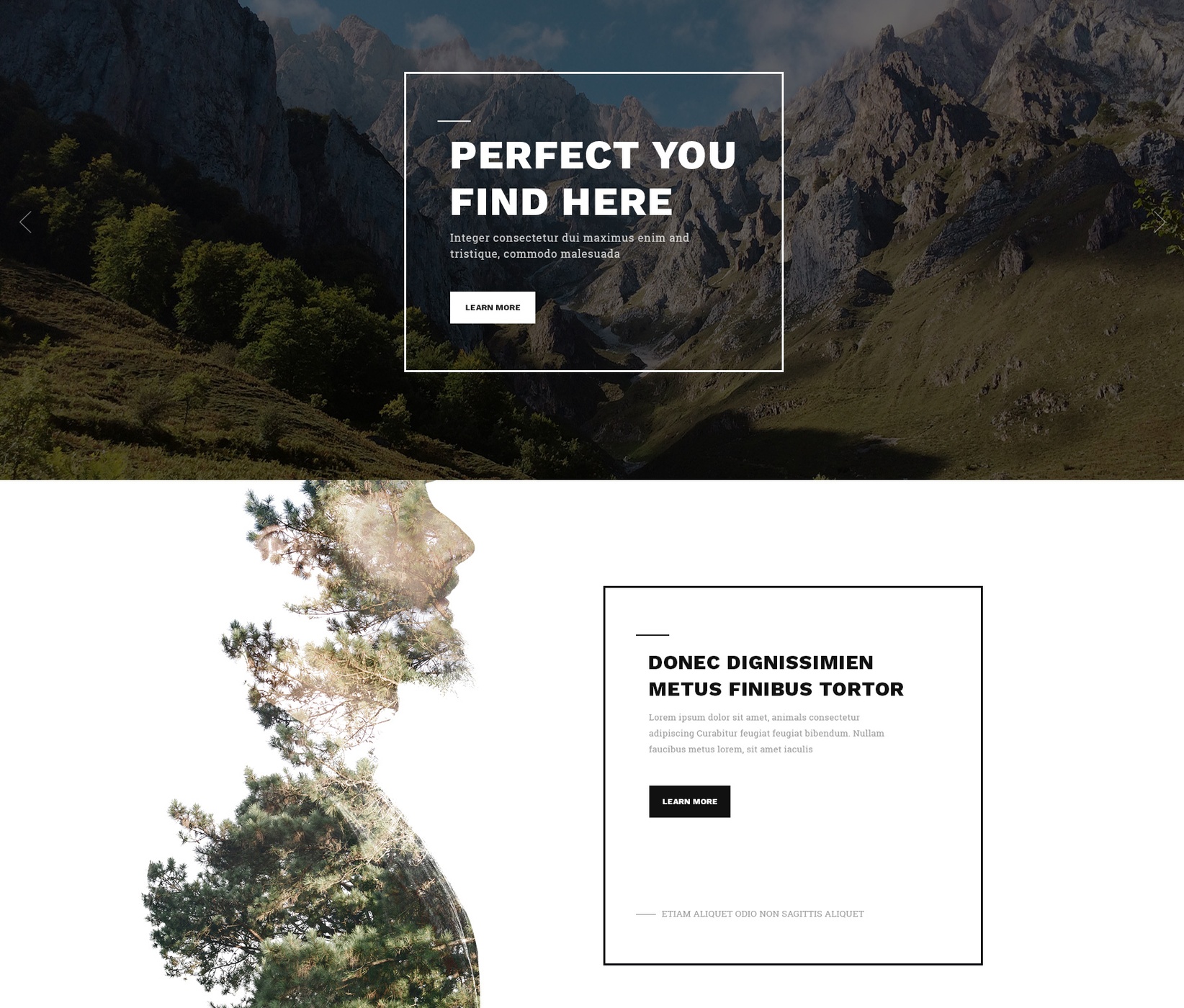 Free Download Bootstrap Blog Theme